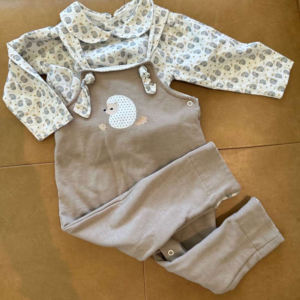 💙$5 FLASH SALE💙 Popys Hedgehog Set 18M